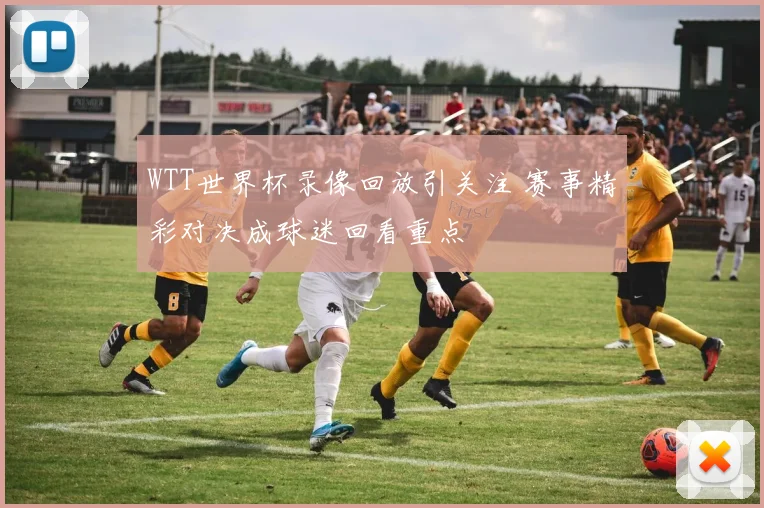 WTT世界杯录像回放引关注 赛事精彩对决成球迷回看重点