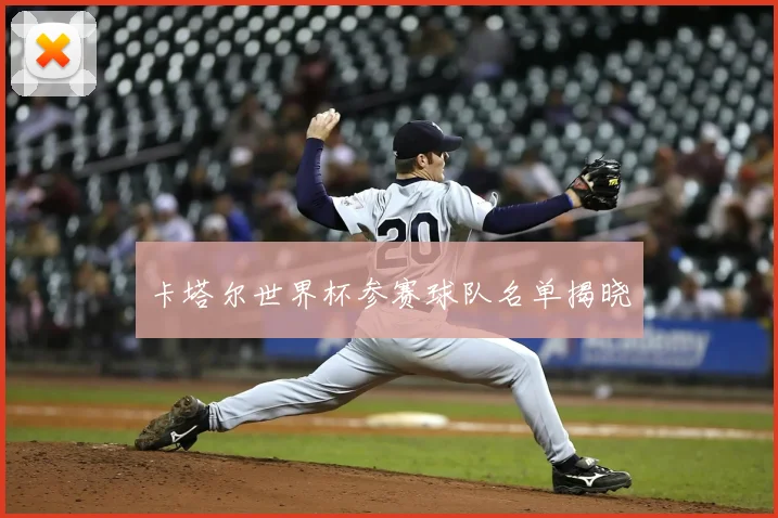 卡塔尔世界杯参赛球队名单揭晓