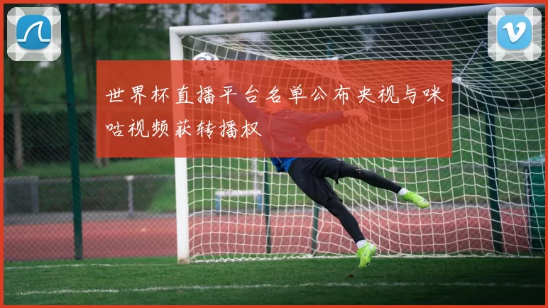 世界杯直播平台名单公布央视与咪咕视频获转播权