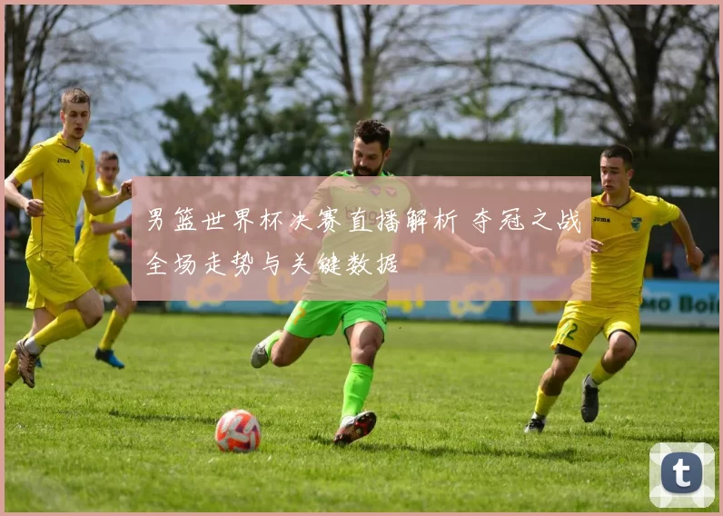 男篮世界杯决赛直播解析 夺冠之战全场走势与关键数据