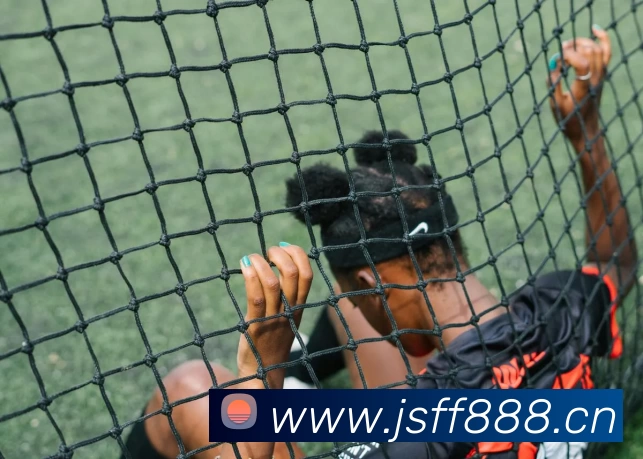 华体会平台 - 华体会(中国)一站式服务平台发展历程